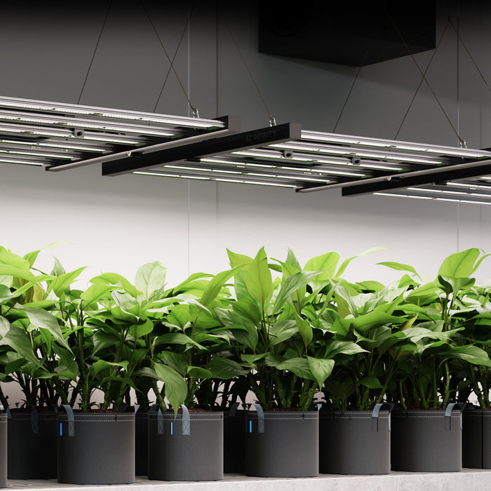 AC Infinity IONFRAME EVO6, SAMSUNG LM301H EVO COMMERCIAL LED GROW LIGHT, 500W, 4X4 FT. -   Mini Split Systems Direct