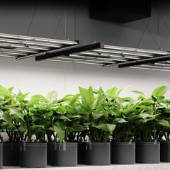AC Infinity IONFRAME EVO6, SAMSUNG LM301H EVO COMMERCIAL LED GROW LIGHT, 500W, 4X4 FT. -   Mini Split Systems Direct