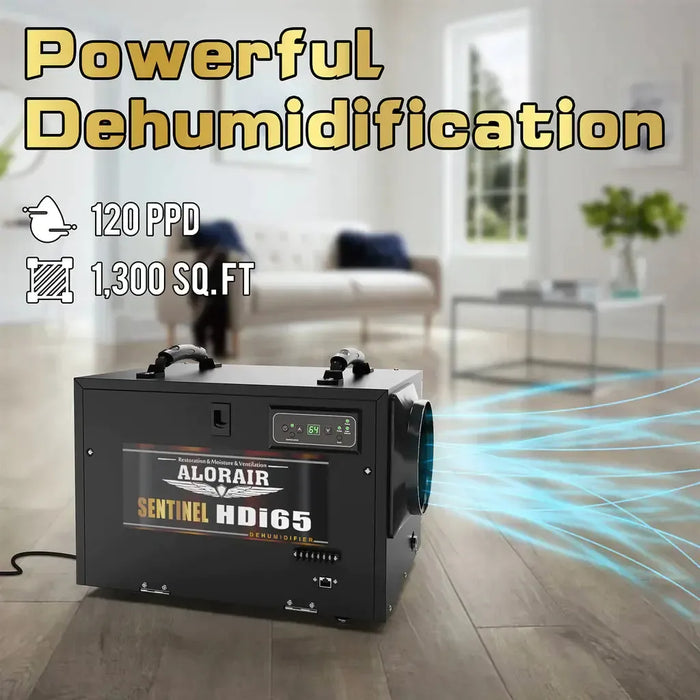 AlorAir Sentinel HDi65s Black Commercial Dehumidifiers Crawl Space Basement dehumidifier with Pump X003A6LVBJ - X003A6LVBJ  Mini Split Systems Direct