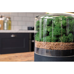 Briiv Air Filter