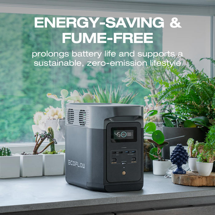 EF ECOFLOW Solar Generator DELTA 2 with 160W Solar Panel, LFP(LiFePO4) Battery, Fast Charging, Portable Power Station for Home Backup Power, Camping & RVs - B0FQVC4RF5  Mini Split Systems Direct