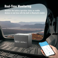 Rich Solar ALPHA 1: 12V 100Ah Lithium Battery for Off-Grid Power - RS-B121S  Mini Split Systems Direct