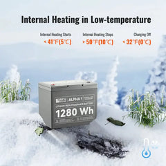 Rich Solar ALPHA 1: 12V 100Ah Lithium Battery for Off-Grid Power - RS-B121S  Mini Split Systems Direct