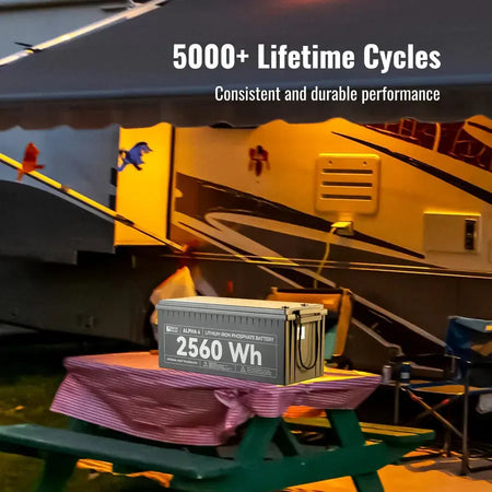 Rich Solar ALPHA 4 | 24V 100Ah LiFePO4 Battery | Powerful 24V Lithium Battery for RVs, Trailers, Vans, Boats, Off-Grid | 5,000 Lifetime Cycles | Bluetooth and Internal Heat Technology - RS-B241S  Mini Split Systems Direct