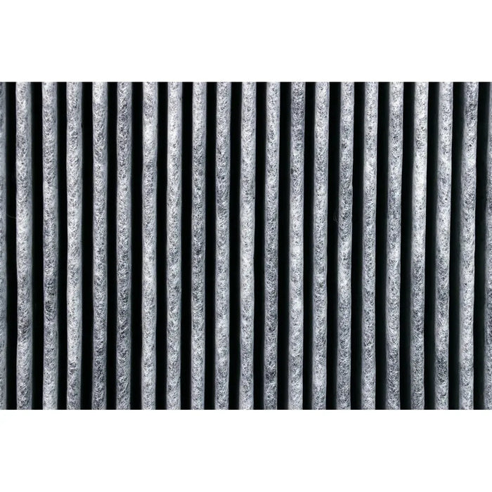 Stadler Form Roger and Roger Big Dual Filter™ H14 Hepa + Activated Carbon - R-022  Mini Split Systems Direct