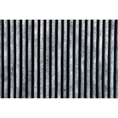 Stadler Form Roger and Roger Big Dual Filter™ H14 Hepa + Activated Carbon